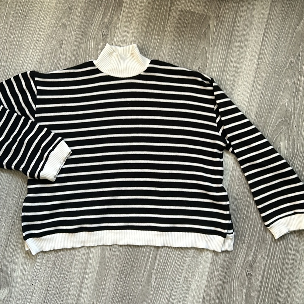 Zara Mockneck Striped Sweater